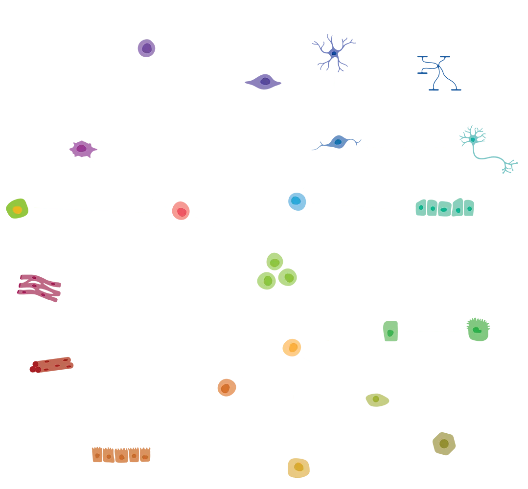 Neural graphic Neural graphic