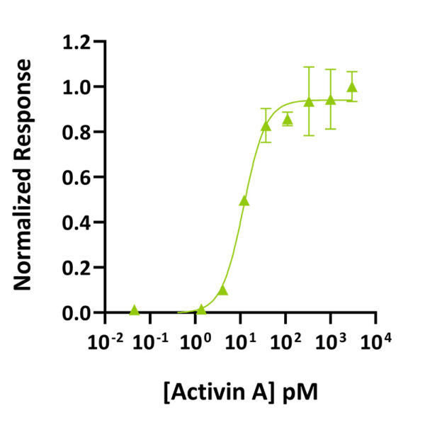 Recombinant mouse/rat activin A protein (Qk012) - Image 2