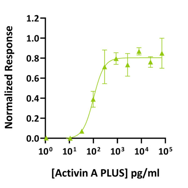 Recombinant mouse/rat activin A PLUS™ protein (Qk014) - Image 2