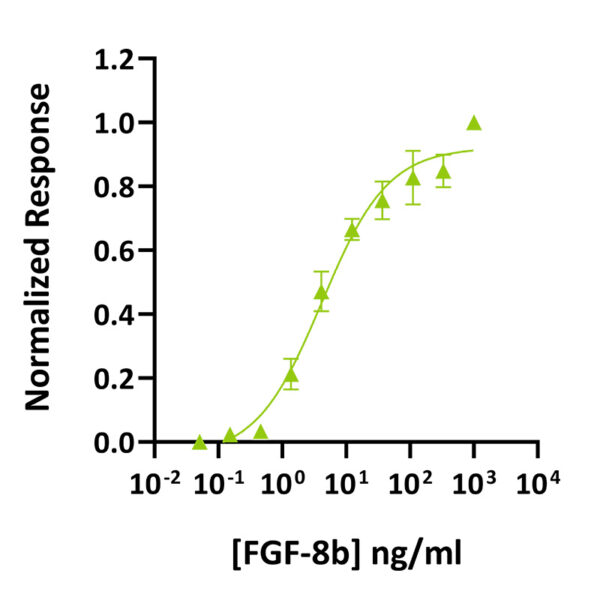 Recombinant mouse FGF-8b protein (Qk021) - Image 2