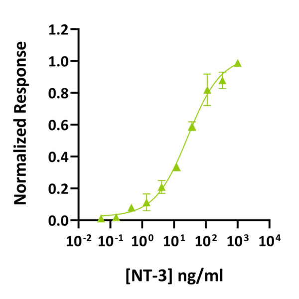Recombinant mouse/rat NT-3 protein (Qk022) - Image 3