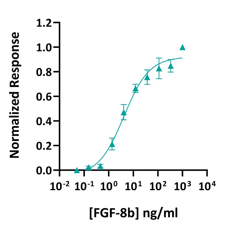 Recombinant human FGF-8b protein (Qk057-CTG) - Image 3
