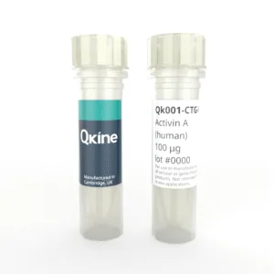 Recombinant human activin A protein (Qk001-CTG)