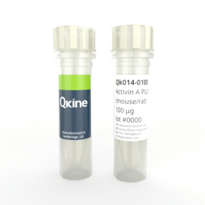 Recombinant mouse/rat activin A PLUS™ protein (Qk014)
