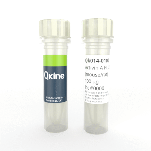 Recombinant mouse/rat activin A PLUS™ protein (Qk014)