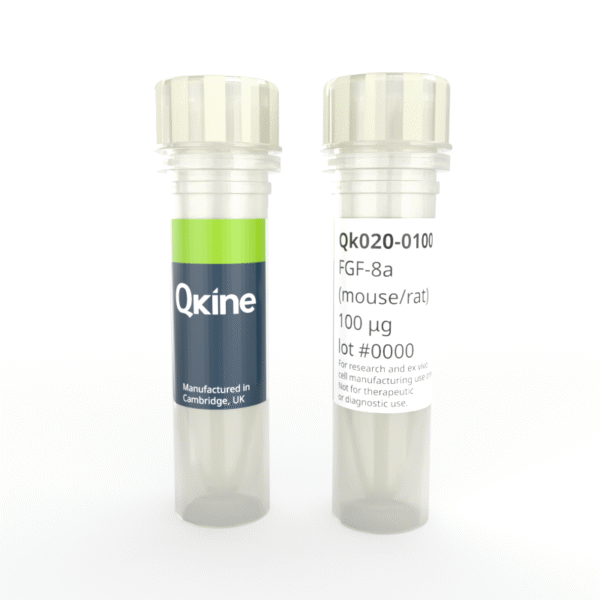 Recombinant mouse/rat FGF-8a protein (Qk020)