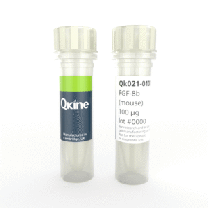 Recombinant mouse FGF-8b protein (Qk021)