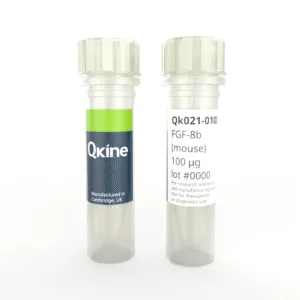 Recombinant mouse FGF-8b protein (Qk021)