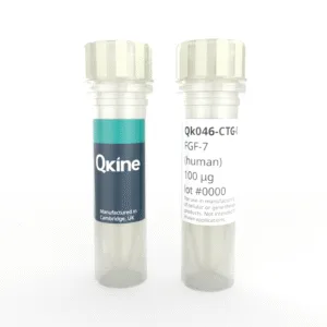 Recombinant human KGF (FGF-7) protein (Qk046-CTG)