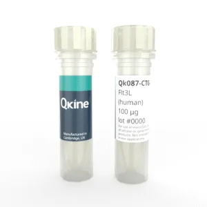 Recombinant human Flt3L protein (Qk087-CTG)