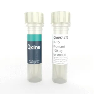 Recombinant human IL-15 protein (Qk097-CTG)