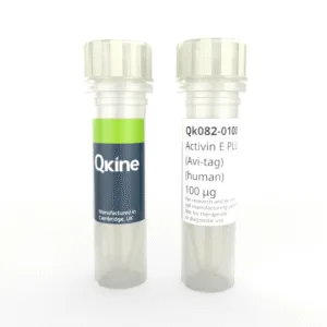 Recombinant human activin E PLUS™ (Avi-tag) protein (Qk082)