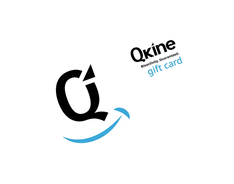 Qkine 2026 Gift Card tilt web Qkine 2026 Gift Card tilt web