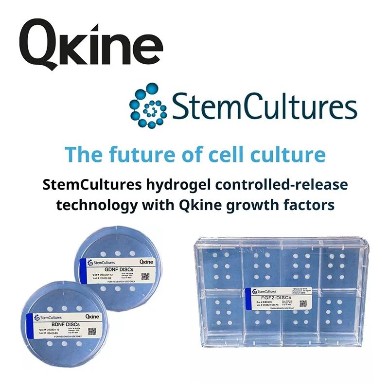 Qkine StemCultures 800 Qkine StemCultures 800