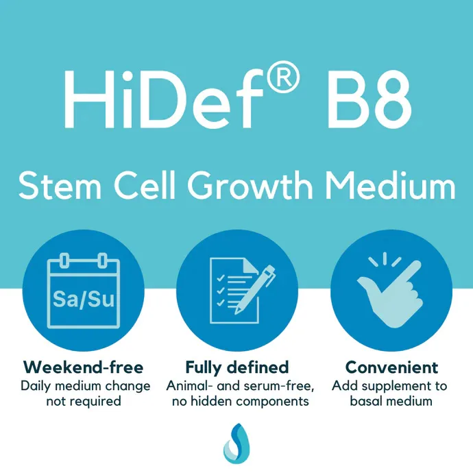 HiDef® B8 stem cell growth medium - Image 2