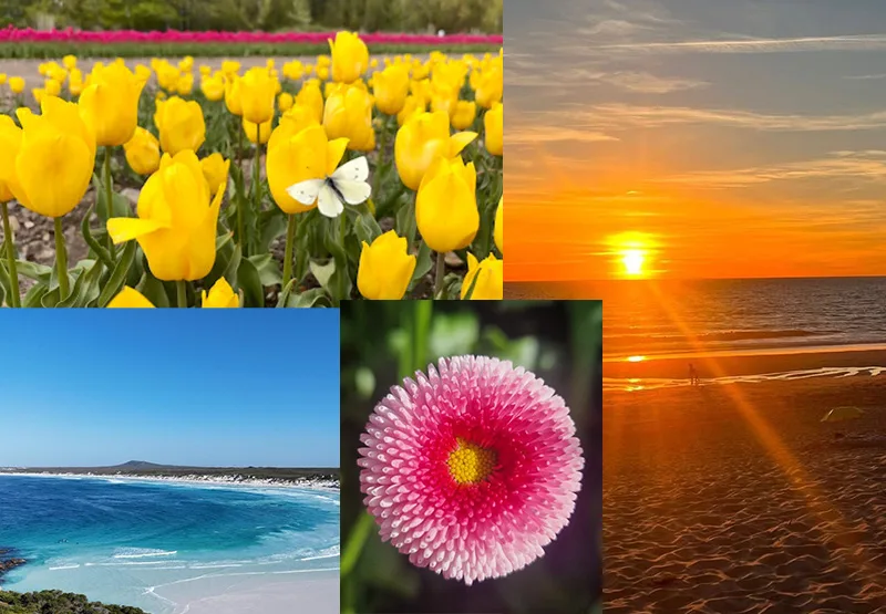 Earth day 2026 Images submitted to photo competition