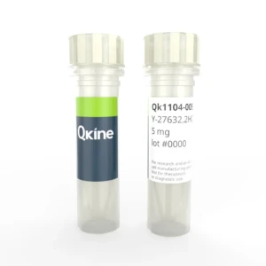 Y-27632 dihydrochloride (Qk1104)