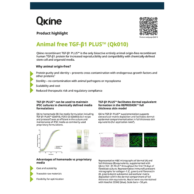 TGF-b1 product focus web image