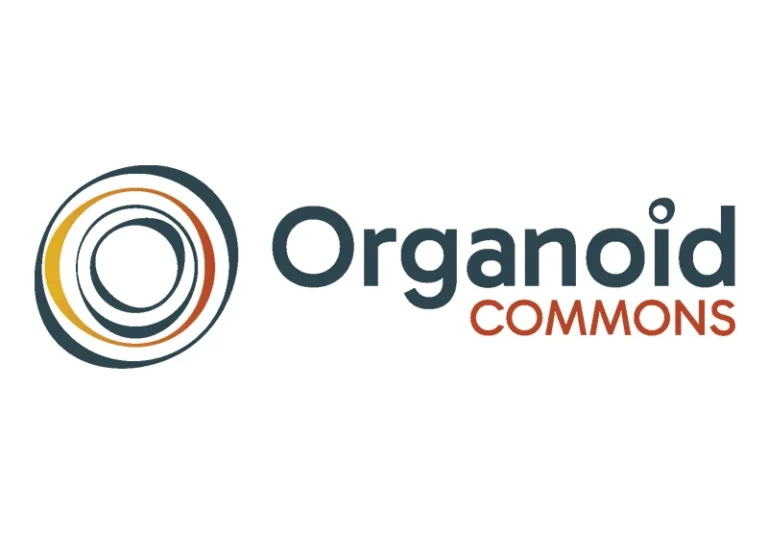 Qkine Joins Organoid COMMONS to Advance Standardization and Scalability in Human-Relevant Models
