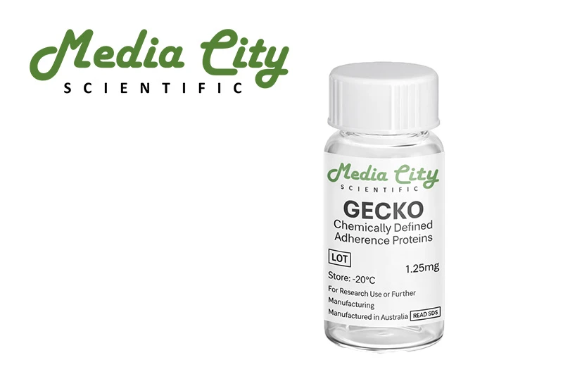 GECKO Bottle Logo 8000x555 GECKO Bottle Logo 8000x555