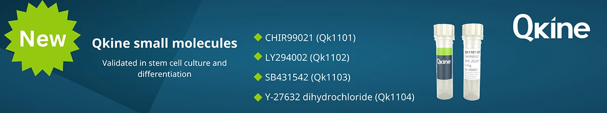 Small molecules banner