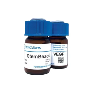 StemBeads® Qkine VEGF
